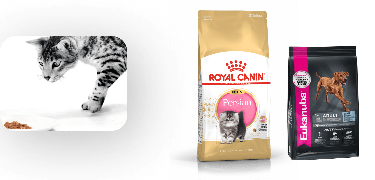 Royal Canin